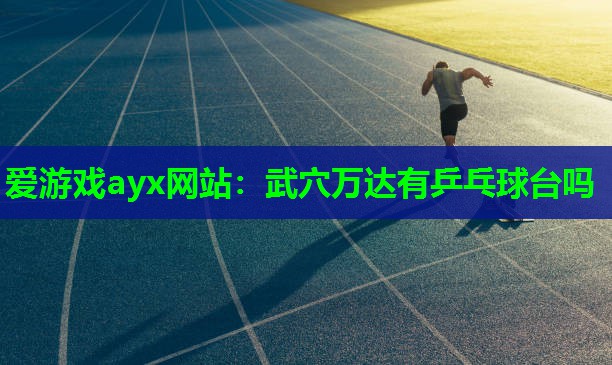 爱游戏ayx网站：武穴万达有乒乓球台吗