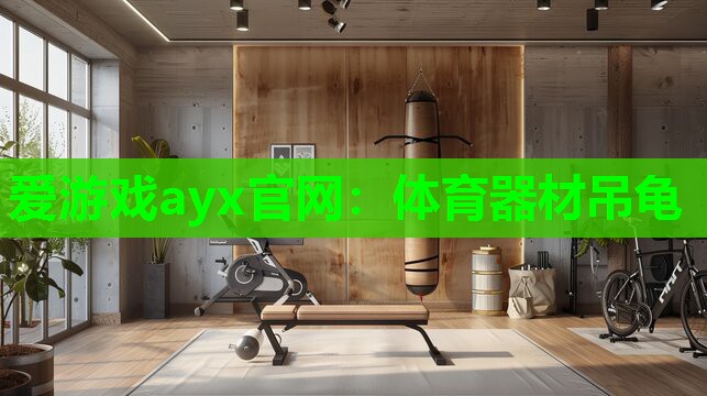 爱游戏ayx官网：体育器材吊龟