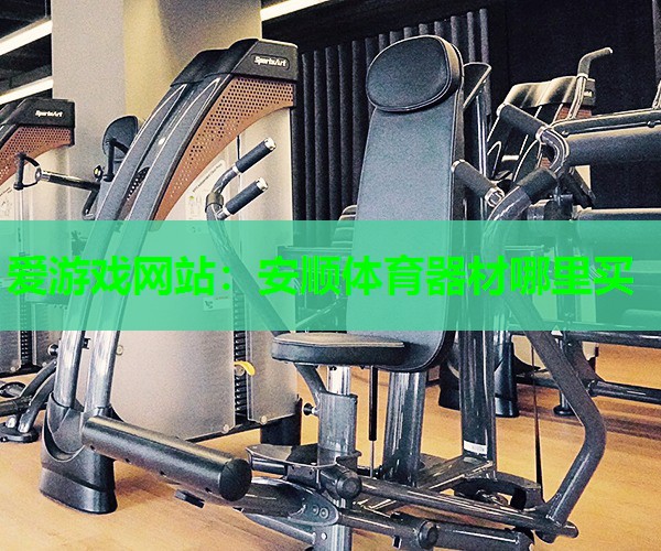 爱游戏网站：安顺体育器材哪里买