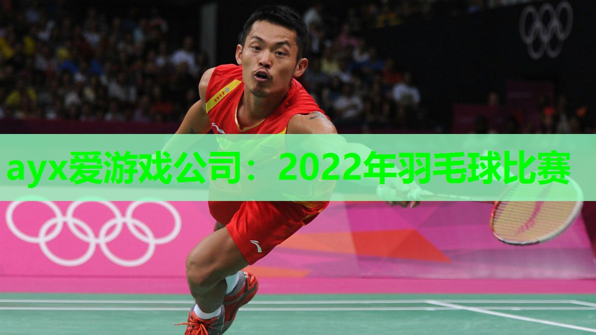 2022年羽毛球比赛